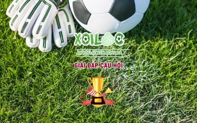 Xoilac TV - Xoilac.art: Nền tảng xem bóng đá hấp dẫn và phổ biến